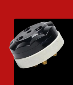 TEDDY SOCKET